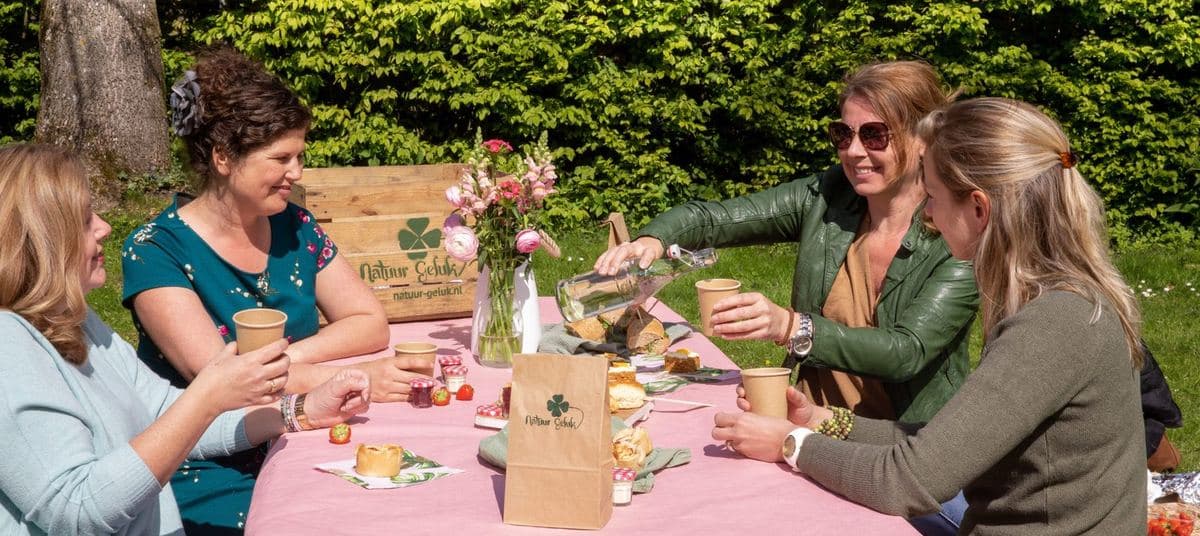 Gruppe an einem gedeckten Tisch im Gras bei einem Picknick in Utrecht